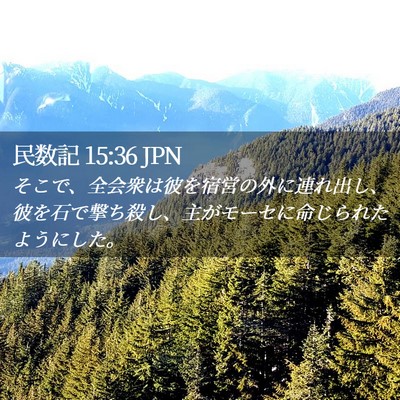 Picture 02 - 民数記 15:36 JPN - そこで、全会衆は彼を宿営の外に連 - Bible Verse Picture