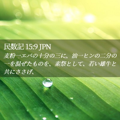 Picture 02 - 民数記 15:9 JPN - 麦粉一エパの十分の三に、油一ヒン - Bible Verse Picture