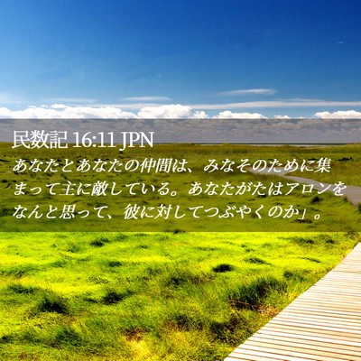 Picture 02 - 民数記 16:11 JPN - あなたとあなたの仲間は、みなその - Bible Verse Picture