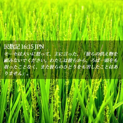 Picture 02 - 民数記 16:15 JPN - モーセは大いに怒って、主に言った - Bible Verse Picture