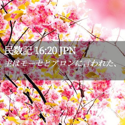 Picture 02 - 民数記 16:20 JPN - 主はモーセとアロンに言われた、 - Bible Verse Picture