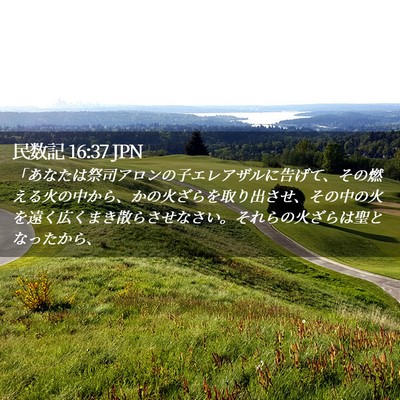 Picture 02 - 民数記 16:37 JPN - 「あなたは祭司アロンの子エレアザ - Bible Verse Picture