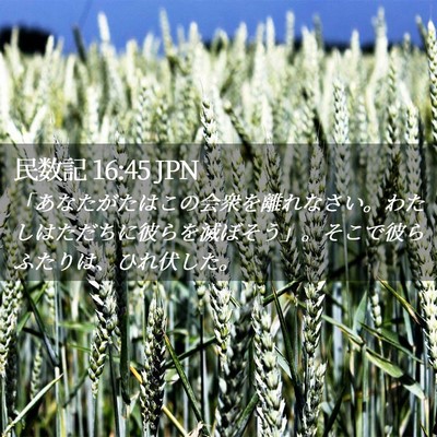 Picture 02 - 民数記 16:45 JPN - 「あなたがたはこの会衆を離れなさ - Bible Verse Picture