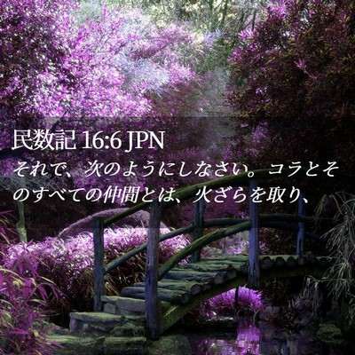 Picture 02 - 民数記 16:6 JPN - それで、次のようにしなさい。コラ - Bible Verse Picture