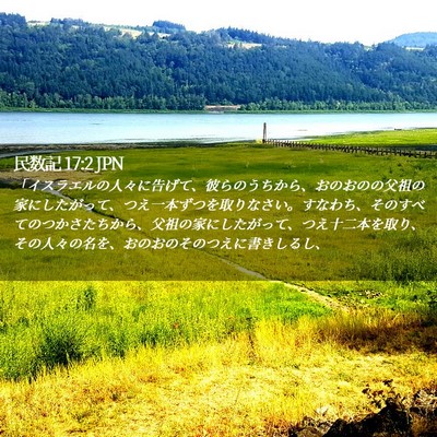 Picture 02 - 民数記 17:2 JPN - 「イスラエルの人々に告げて、彼ら - Bible Verse Picture