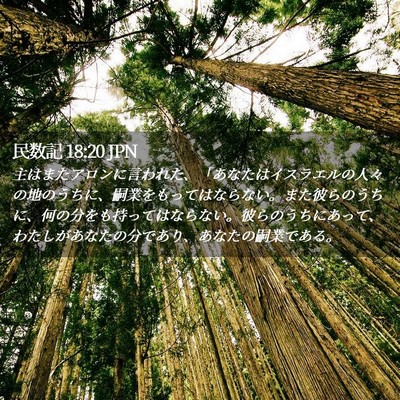 Picture 02 - 民数記 18:20 JPN - 主はまたアロンに言われた、「あな - Bible Verse Picture