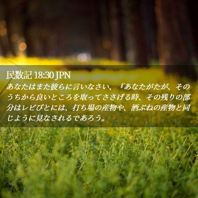 Picture 02 - 民数記 18:30 JPN - あなたはまた彼らに言いなさい、『 - Bible Verse Picture