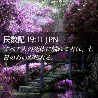 Picture 02 - 民数記 19:11 JPN - すべて人の死体に触れる者は、七日 - Bible Verse Picture
