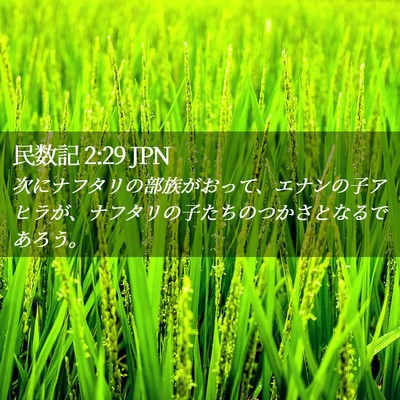 Picture 02 - 民数記 2:29 JPN - 次にナフタリの部族がおって、エナ - Bible Verse Picture