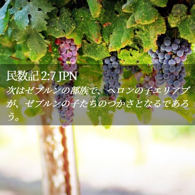 Picture 02 - 民数記 2:7 JPN - 次はゼブルンの部族で、ヘロンの子 - Bible Verse Picture