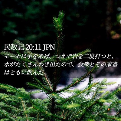 Picture 02 - 民数記 20:11 JPN - モーセは手をあげ、つえで岩を二度 - Bible Verse Picture