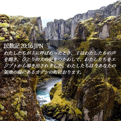 Picture 02 - 民数記 20:16 JPN - わたしたちが主に呼ばわったとき、 - Bible Verse Picture