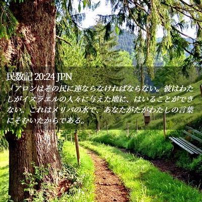 Picture 02 - 民数記 20:24 JPN - 「アロンはその民に連ならなければ - Bible Verse Picture