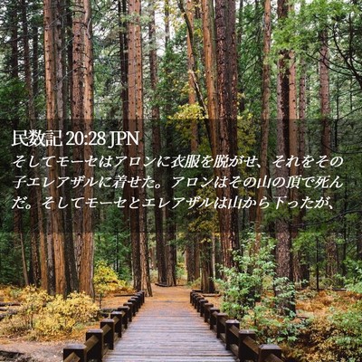 Picture 02 - 民数記 20:28 JPN - そしてモーセはアロンに衣服を脱が - Bible Verse Picture