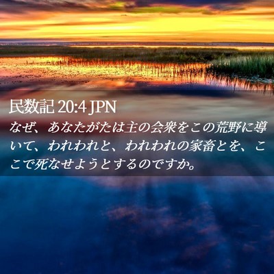 Picture 02 - 民数記 20:4 JPN - なぜ、あなたがたは主の会衆をこの - Bible Verse Picture