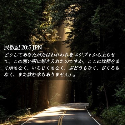 Picture 02 - 民数記 20:5 JPN - どうしてあなたがたはわれわれをエ - Bible Verse Picture