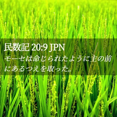 Picture 02 - 民数記 20:9 JPN - モーセは命じられたように主の前に - Bible Verse Picture
