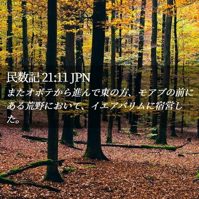 Picture 02 - 民数記 21:11 JPN - またオボテから進んで東の方、モア - Bible Verse Picture