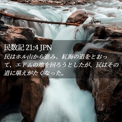 Picture 02 - 民数記 21:4 JPN - 民はホル山から進み、紅海の道をと - Bible Verse Picture