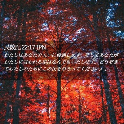 Picture 02 - 民数記 22:17 JPN - わたしはあなたを大いに優遇します - Bible Verse Picture