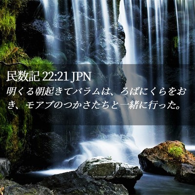 Picture 02 - 民数記 22:21 JPN - 明くる朝起きてバラムは、ろばにく - Bible Verse Picture