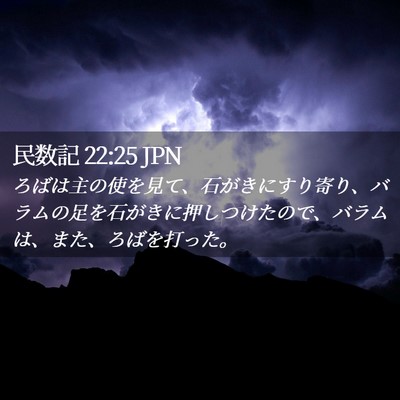 Picture 02 - 民数記 22:25 JPN - ろばは主の使を見て、石がきにすり - Bible Verse Picture