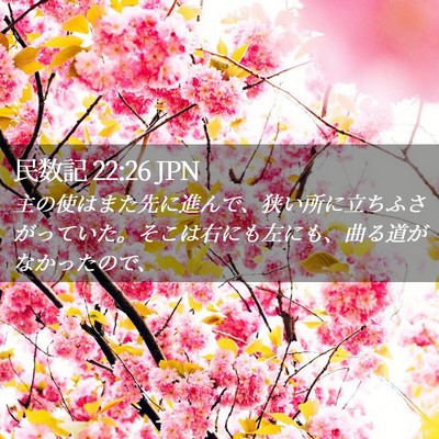 Picture 02 - 民数記 22:26 JPN - 主の使はまた先に進んで、狭い所に - Bible Verse Picture