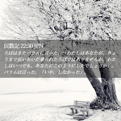 Picture 02 - 民数記 22:30 JPN - ろばはまたバラムに言った、「わた - Bible Verse Picture