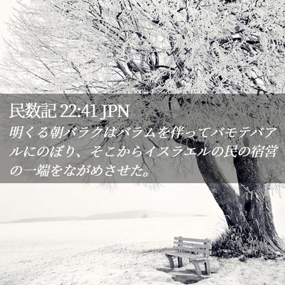 Picture 02 - 民数記 22:41 JPN - 明くる朝バラクはバラムを伴ってバ - Bible Verse Picture