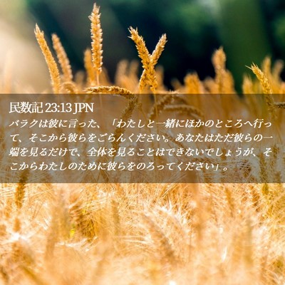 Picture 02 - 民数記 23:13 JPN - バラクは彼に言った、「わたしと一 - Bible Verse Picture