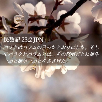Picture 02 - 民数記 23:2 JPN - バラクはバラムの言ったとおりにし - Bible Verse Picture