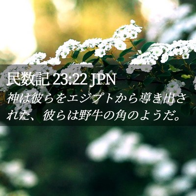 Picture 02 - 民数記 23:22 JPN - 神は彼らをエジプトから導き出され - Bible Verse Picture