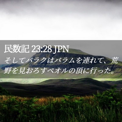 Picture 02 - 民数記 23:28 JPN - そしてバラクはバラムを連れて、荒 - Bible Verse Picture
