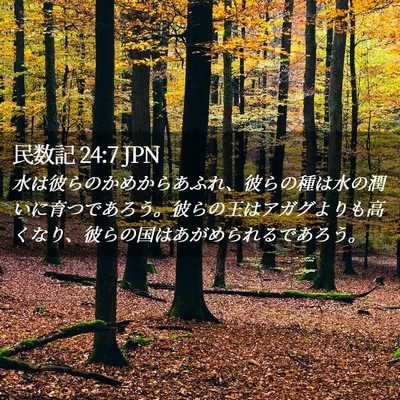 Picture 02 - 民数記 24:7 JPN - 水は彼らのかめからあふれ、彼らの - Bible Verse Picture