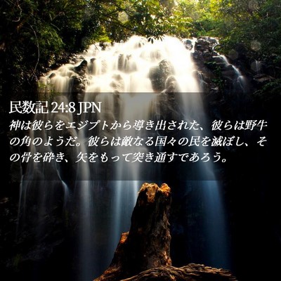 Picture 02 - 民数記 24:8 JPN - 神は彼らをエジプトから導き出され - Bible Verse Picture