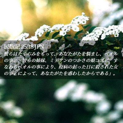 Picture 02 - 民数記 25:18 JPN - 彼らはたくらみをもって、あなたが - Bible Verse Picture