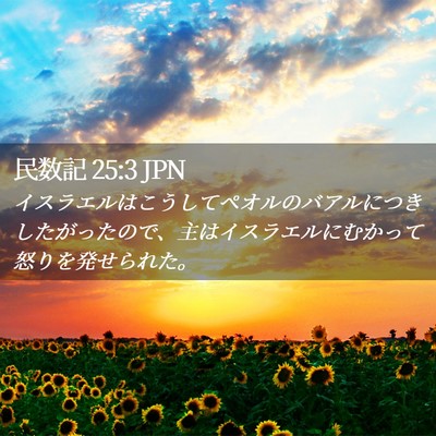 Picture 02 - 民数記 25:3 JPN - イスラエルはこうしてペオルのバア - Bible Verse Picture