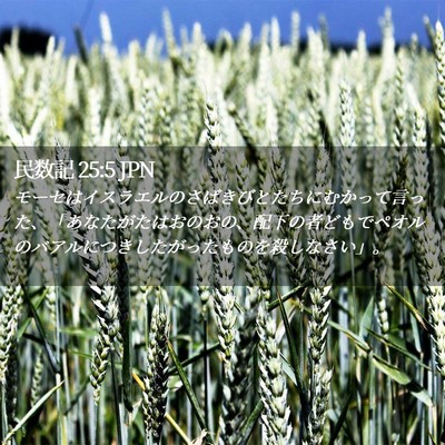 Picture 02 - 民数記 25:5 JPN - モーセはイスラエルのさばきびとた - Bible Verse Picture