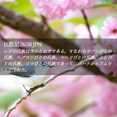 Picture 02 - 民数記 26:58 JPN - レビの氏族は次のとおりである。す - Bible Verse Picture