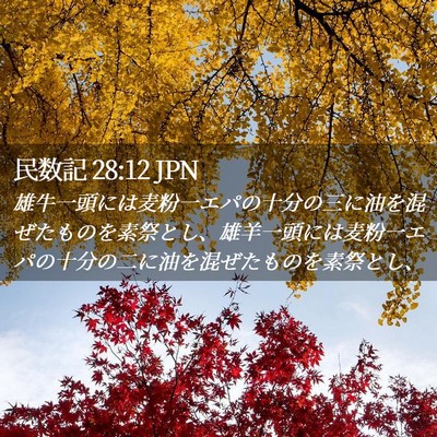 Picture 02 - 民数記 28:12 JPN - 雄牛一頭には麦粉一エパの十分の三 - Bible Verse Picture
