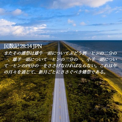 Picture 02 - 民数記 28:14 JPN - またその灌祭は雄牛一頭についてぶ - Bible Verse Picture