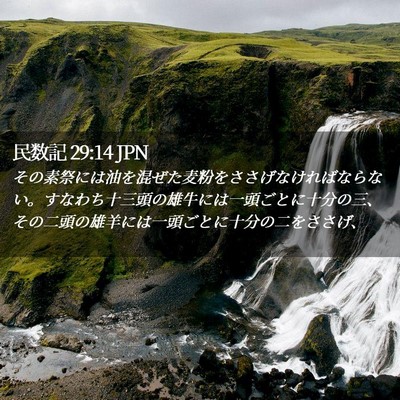 Picture 02 - 民数記 29:14 JPN - その素祭には油を混ぜた麦粉をささ - Bible Verse Picture