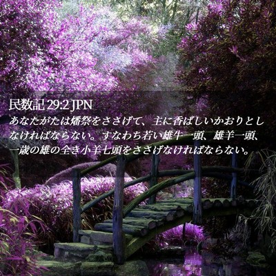 Picture 02 - 民数記 29:2 JPN - あなたがたは燔祭をささげて、主に - Bible Verse Picture