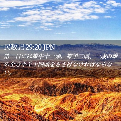 Picture 02 - 民数記 29:20 JPN - 第三日には雄牛十一頭、雄羊二頭、 - Bible Verse Picture