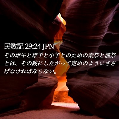 Picture 02 - 民数記 29:24 JPN - その雄牛と雄羊と小羊とのための素 - Bible Verse Picture