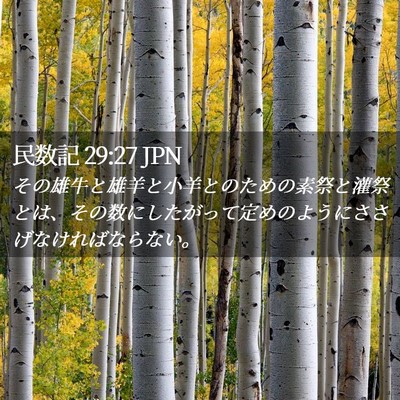 Picture 02 - 民数記 29:27 JPN - その雄牛と雄羊と小羊とのための素 - Bible Verse Picture