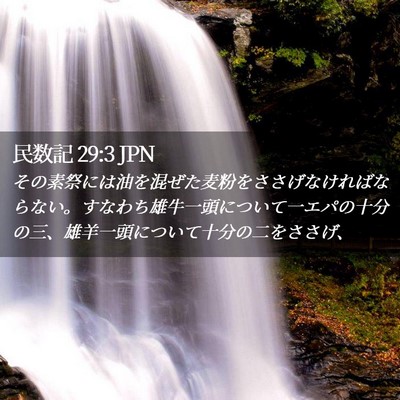 Picture 02 - 民数記 29:3 JPN - その素祭には油を混ぜた麦粉をささ - Bible Verse Picture