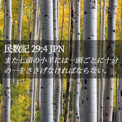 Picture 02 - 民数記 29:4 JPN - また七頭の小羊には一頭ごとに十分 - Bible Verse Picture