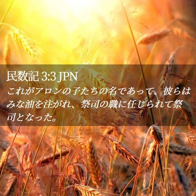 Picture 02 - 民数記 3:3 JPN - これがアロンの子たちの名であって - Bible Verse Picture