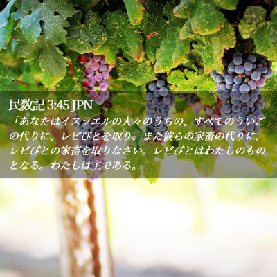 Picture 02 - 民数記 3:45 JPN - 「あなたはイスラエルの人々のうち - Bible Verse Picture